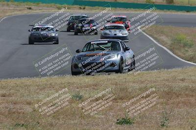 media/May-04-2024-Lucky Dog Racing (Sat) [[d39539b3f3]]/Race Pics/1015am (Turn 2)/